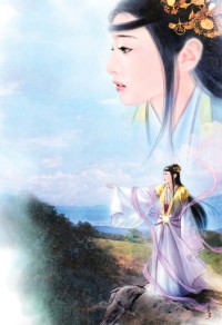副本入侵者
