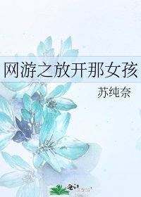 网游之放开那女孩