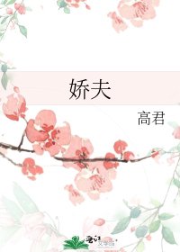 《娇夫》