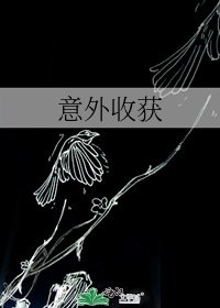 《意外收获》
