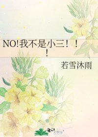 NO!我不是小三!!!