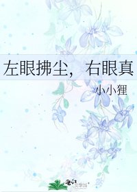 左眼拂塵,右眼真